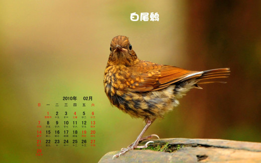 484623 (a): :1920x1200